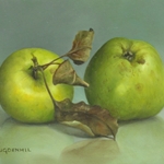 Twee appels, 10 x 15 cm, olieverf op paneel. Verkocht
